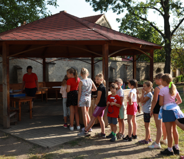 Seznamovací piknik