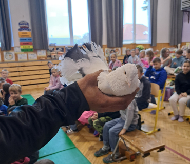 Pohádková zvířátka