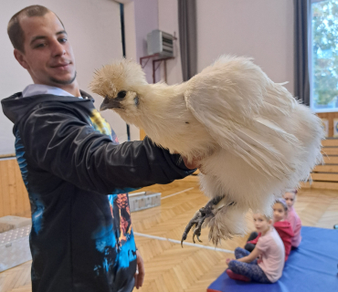 Pohádková zvířátka