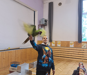 Pohádková zvířátka