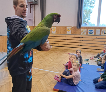 Pohádková zvířátka