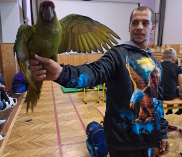 Pohádková zvířátka