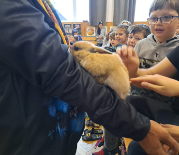 Pohádková zvířátka