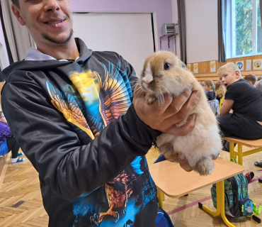 Pohádková zvířátka