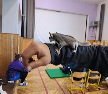 Pohádková zvířátka