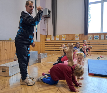 Pohádková zvířátka