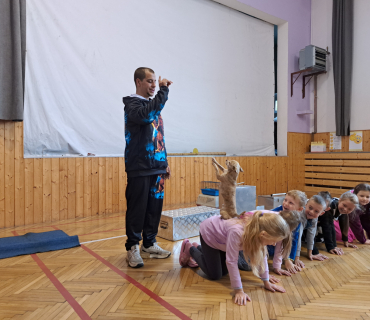 Pohádková zvířátka