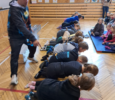 Pohádková zvířátka