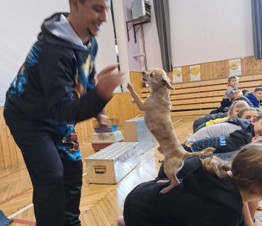 Pohádková zvířátka