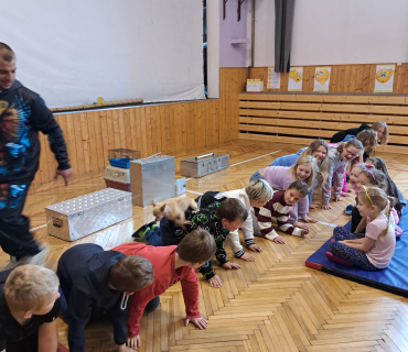 Pohádková zvířátka