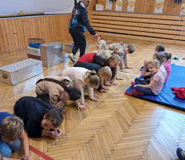 Pohádková zvířátka