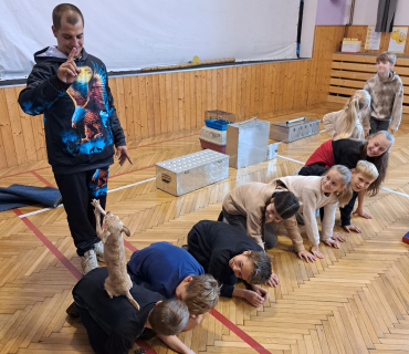 Pohádková zvířátka